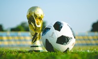 国家队训练营营养师轮值表与供应商合规名录，国家队运动训练师