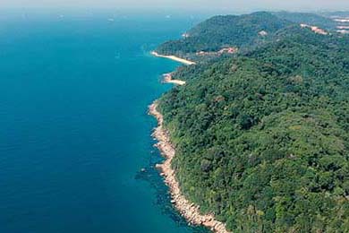 Cloud9选手伤情恢复良好